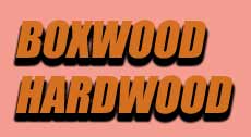 an image of boxwood