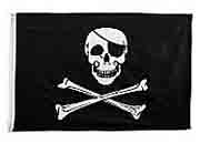 great looking pirate flag
